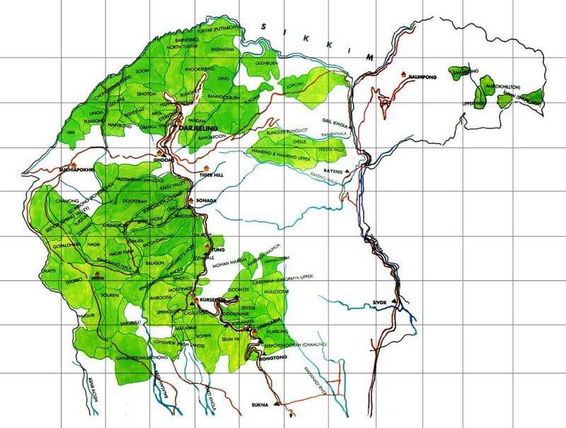 Čajové záhrady v oblasti Darjeeling